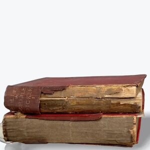 Life of Charles Dickens John‎ Forster 2 Vol Set 1899 Gadshill Chapman Hall